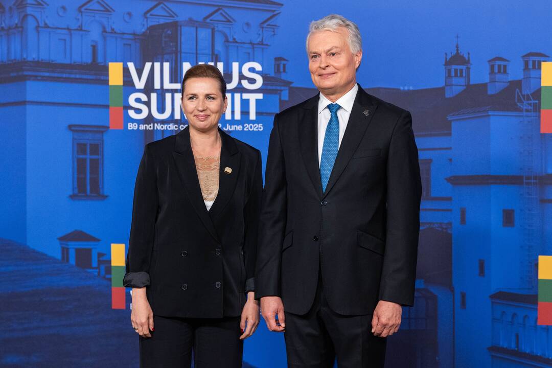 Bukarešto devintuko ir Šiaurės šalių vadovų susitikimas
