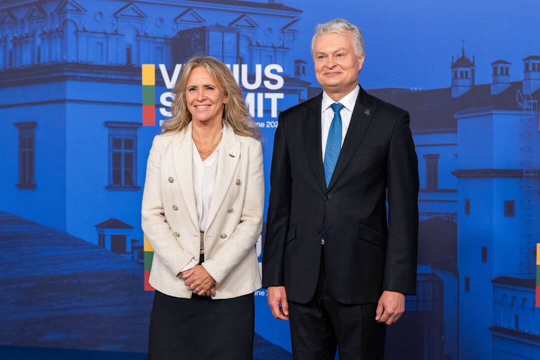 Bukarešto devintuko ir Šiaurės šalių vadovų susitikimas