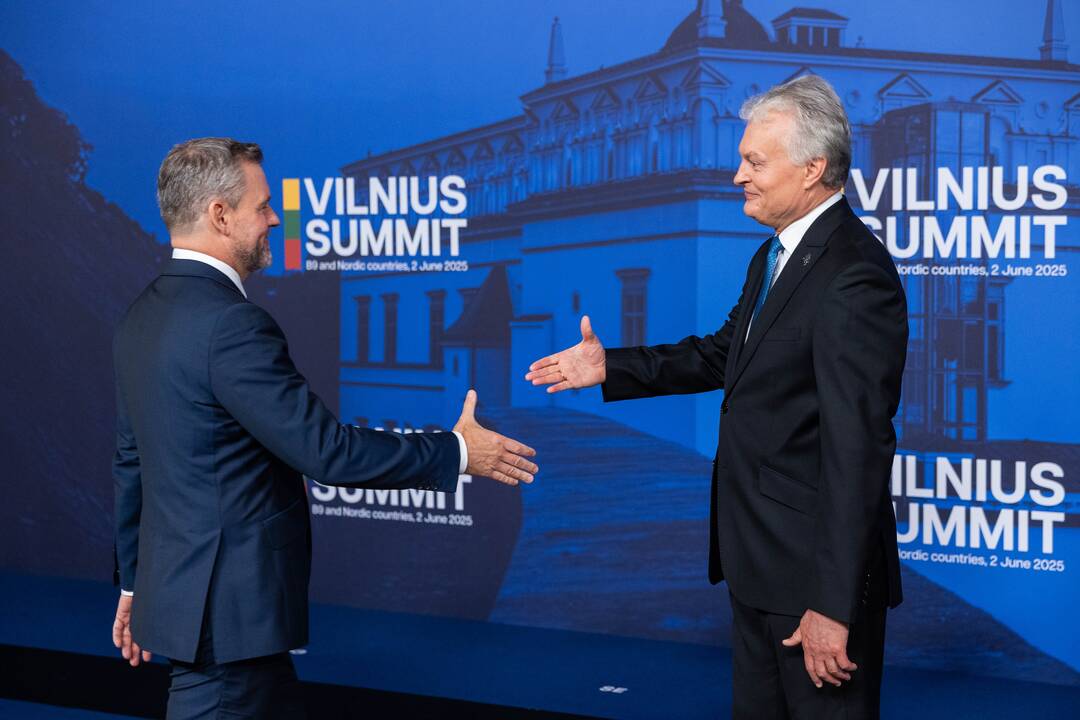Bukarešto devintuko ir Šiaurės šalių vadovų susitikimas