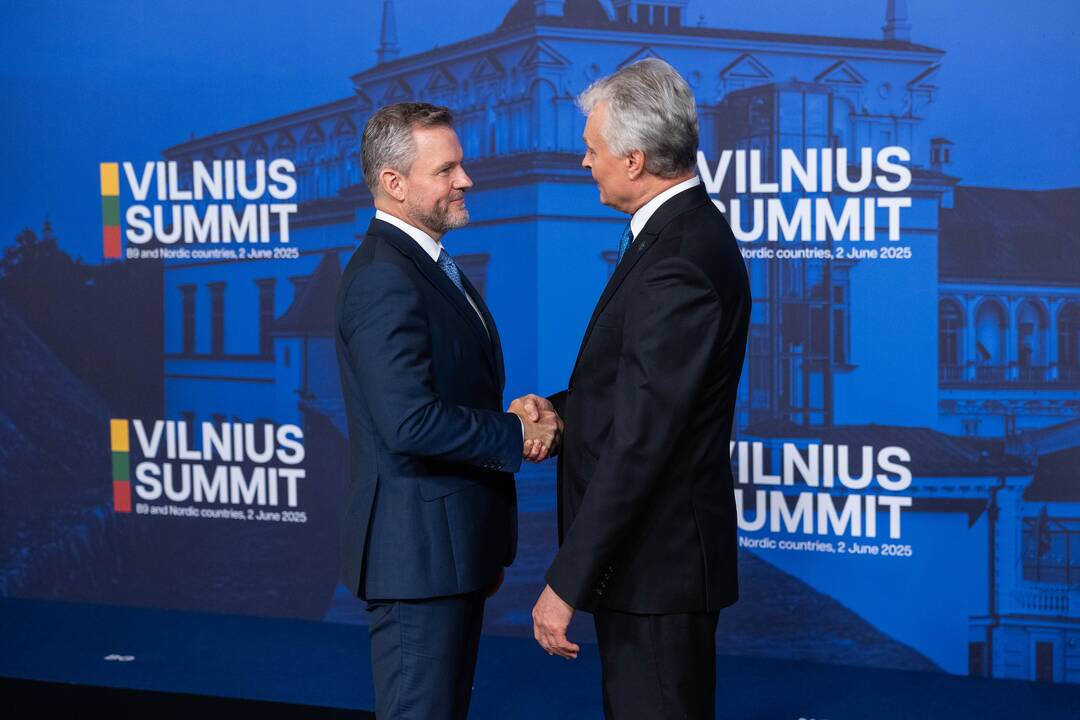Bukarešto devintuko ir Šiaurės šalių vadovų susitikimas
