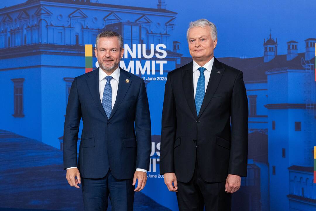 Bukarešto devintuko ir Šiaurės šalių vadovų susitikimas