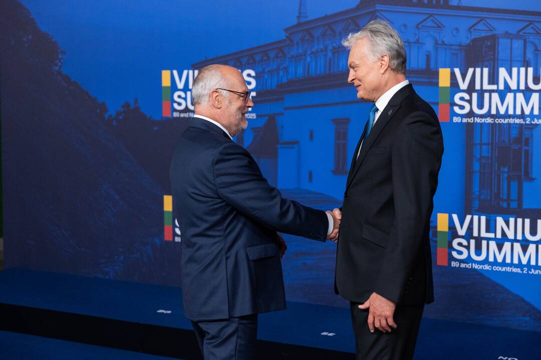 Bukarešto devintuko ir Šiaurės šalių vadovų susitikimas