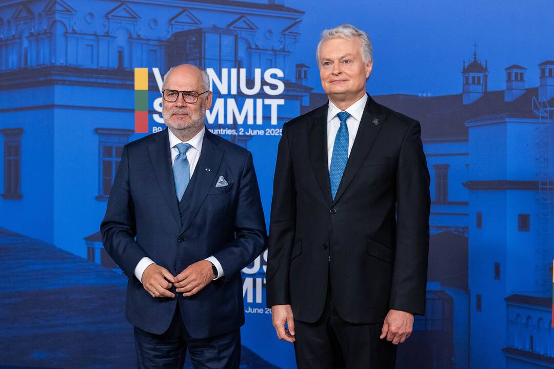 Bukarešto devintuko ir Šiaurės šalių vadovų susitikimas