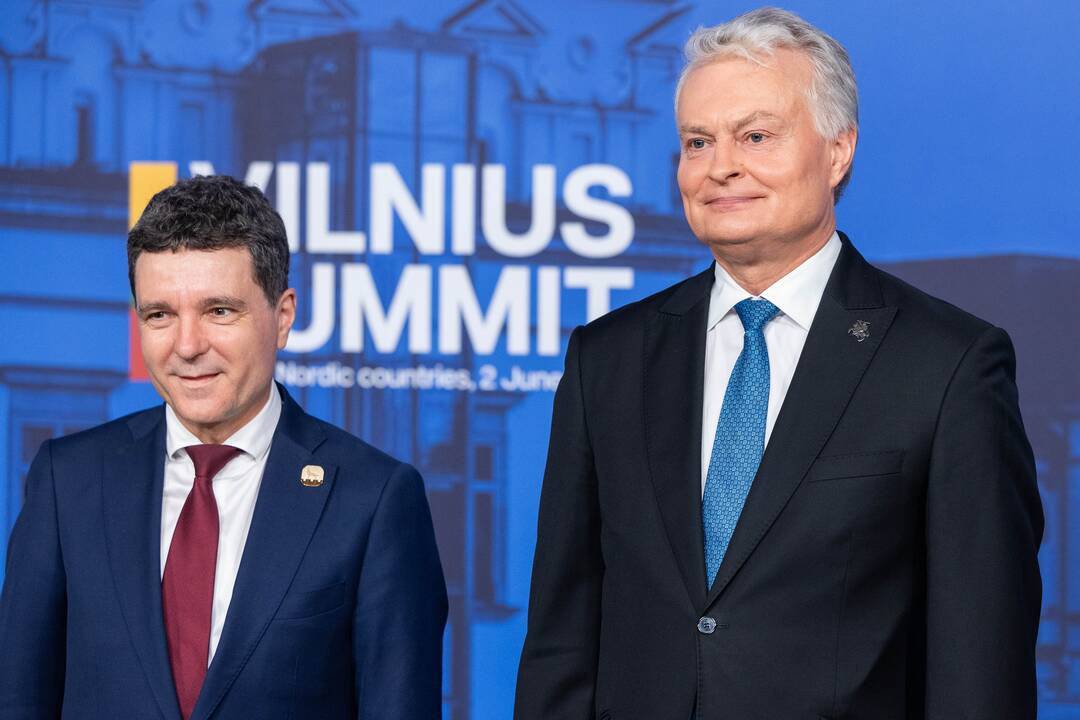 Bukarešto devintuko ir Šiaurės šalių vadovų susitikimas