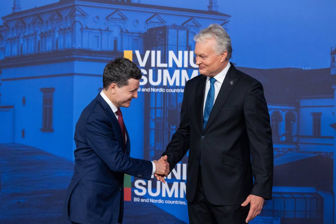 Bukarešto devintuko ir Šiaurės šalių vadovų susitikimas