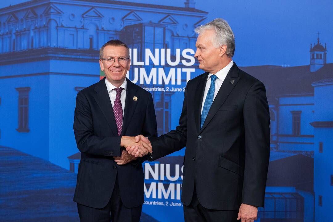 Bukarešto devintuko ir Šiaurės šalių vadovų susitikimas