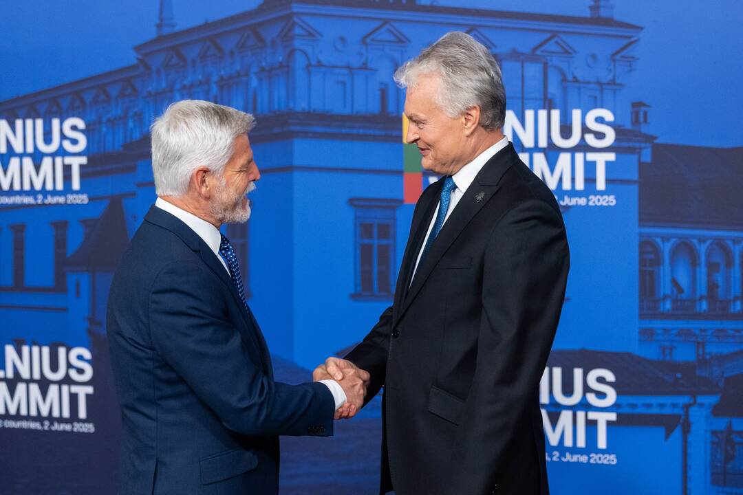 Bukarešto devintuko ir Šiaurės šalių vadovų susitikimas