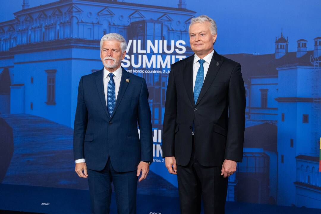 Bukarešto devintuko ir Šiaurės šalių vadovų susitikimas
