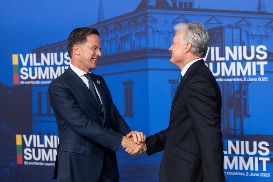 Bukarešto devintuko ir Šiaurės šalių vadovų susitikimas