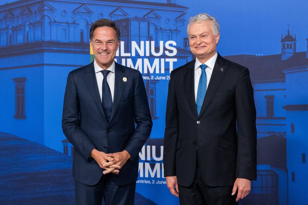 Bukarešto devintuko ir Šiaurės šalių vadovų susitikimas