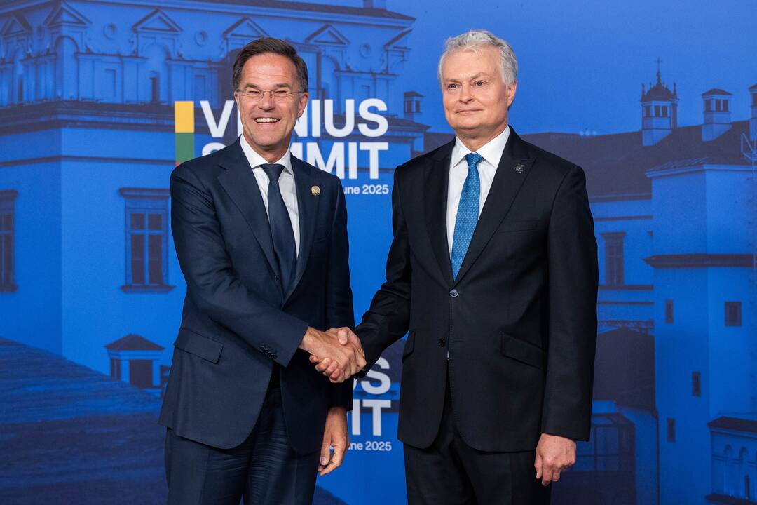 Bukarešto devintuko ir Šiaurės šalių vadovų susitikimas