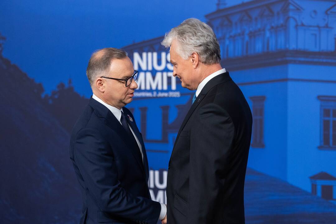 Bukarešto devintuko ir Šiaurės šalių vadovų susitikimas