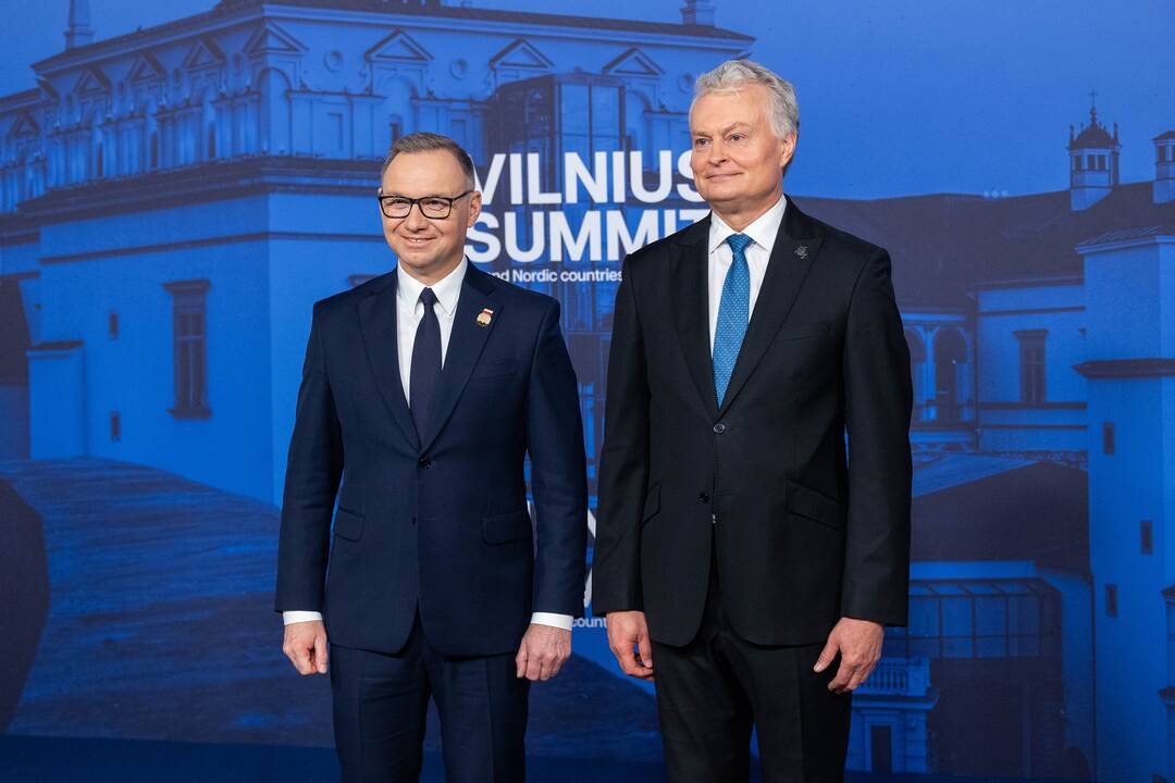 Bukarešto devintuko ir Šiaurės šalių vadovų susitikimas