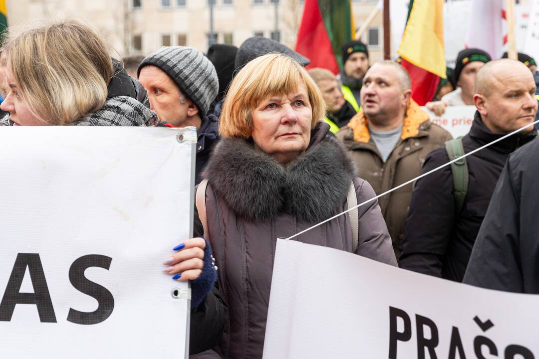 Vilniuje prasidėjo žemdirbių mitingas