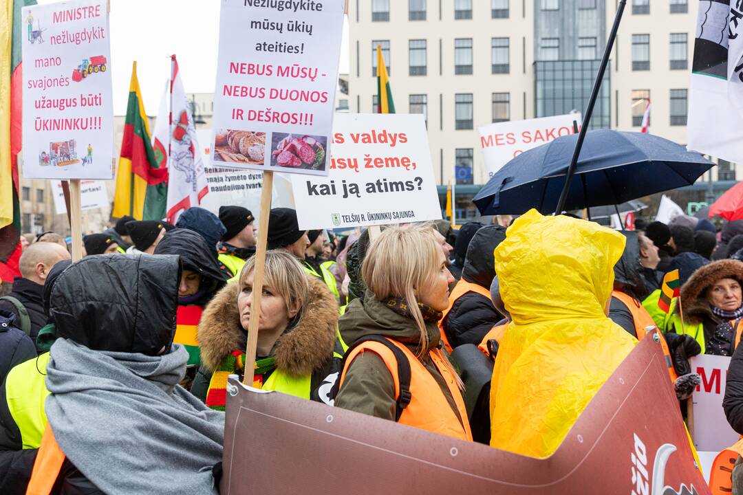 Vilniuje prasidėjo žemdirbių mitingas