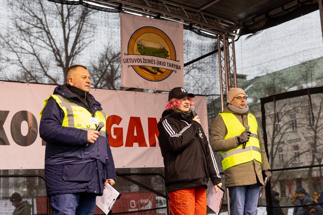 Vilniuje prasidėjo žemdirbių mitingas