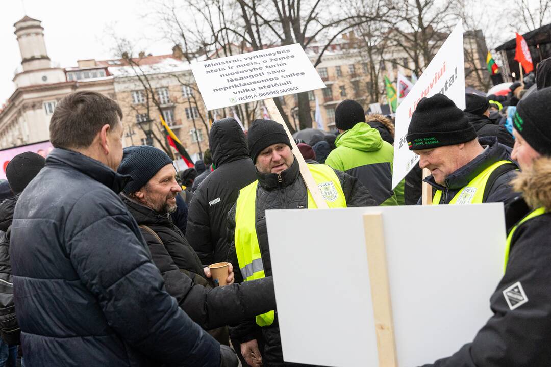 Vilniuje prasidėjo žemdirbių mitingas