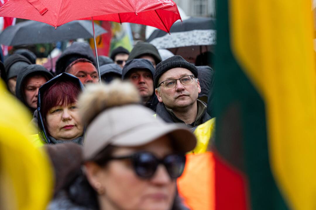 Vilniuje prasidėjo žemdirbių mitingas