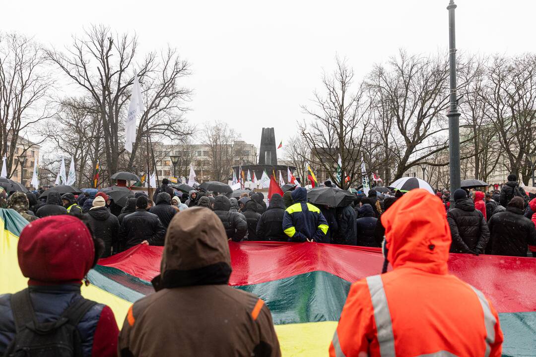 Vilniuje prasidėjo žemdirbių mitingas