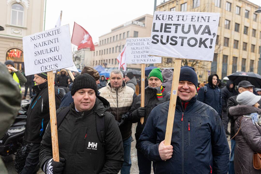 Vilniuje prasidėjo žemdirbių mitingas