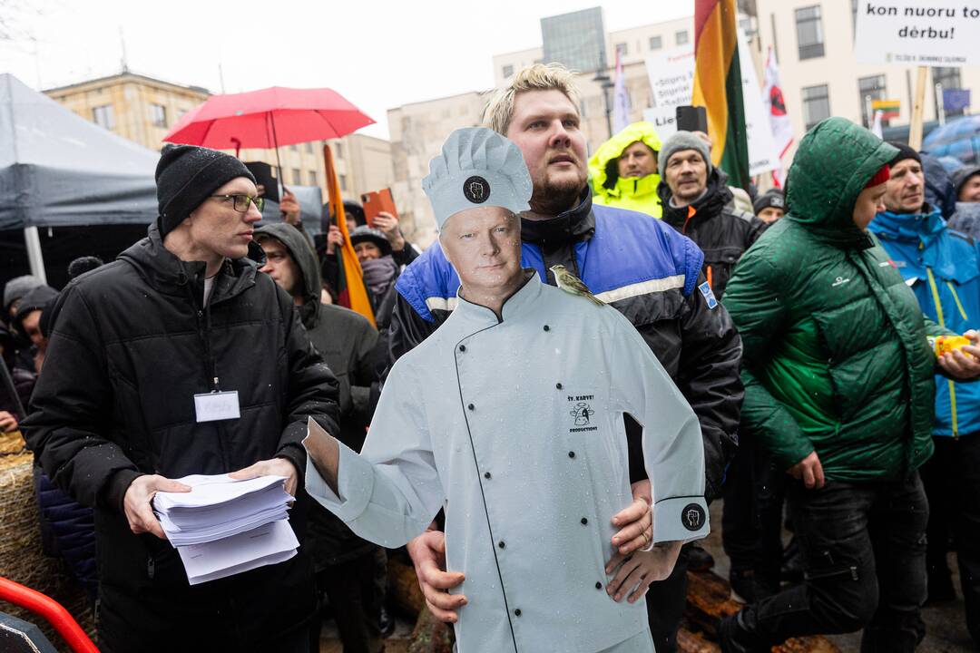 Vilniuje prasidėjo žemdirbių mitingas