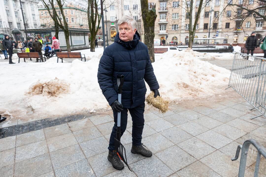 Vilniuje prasidėjo žemdirbių mitingas