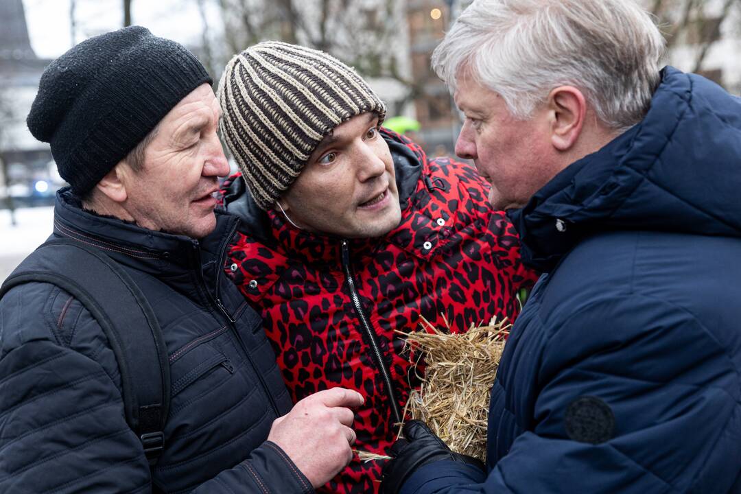 Vilniuje prasidėjo žemdirbių mitingas