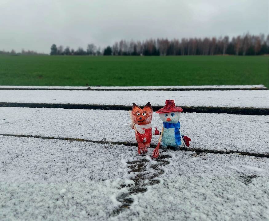 Lietuvoje pabiro snaigės