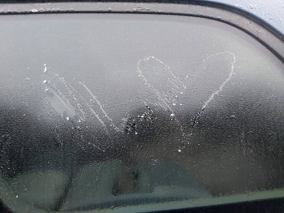 Lietuvoje pabiro snaigės