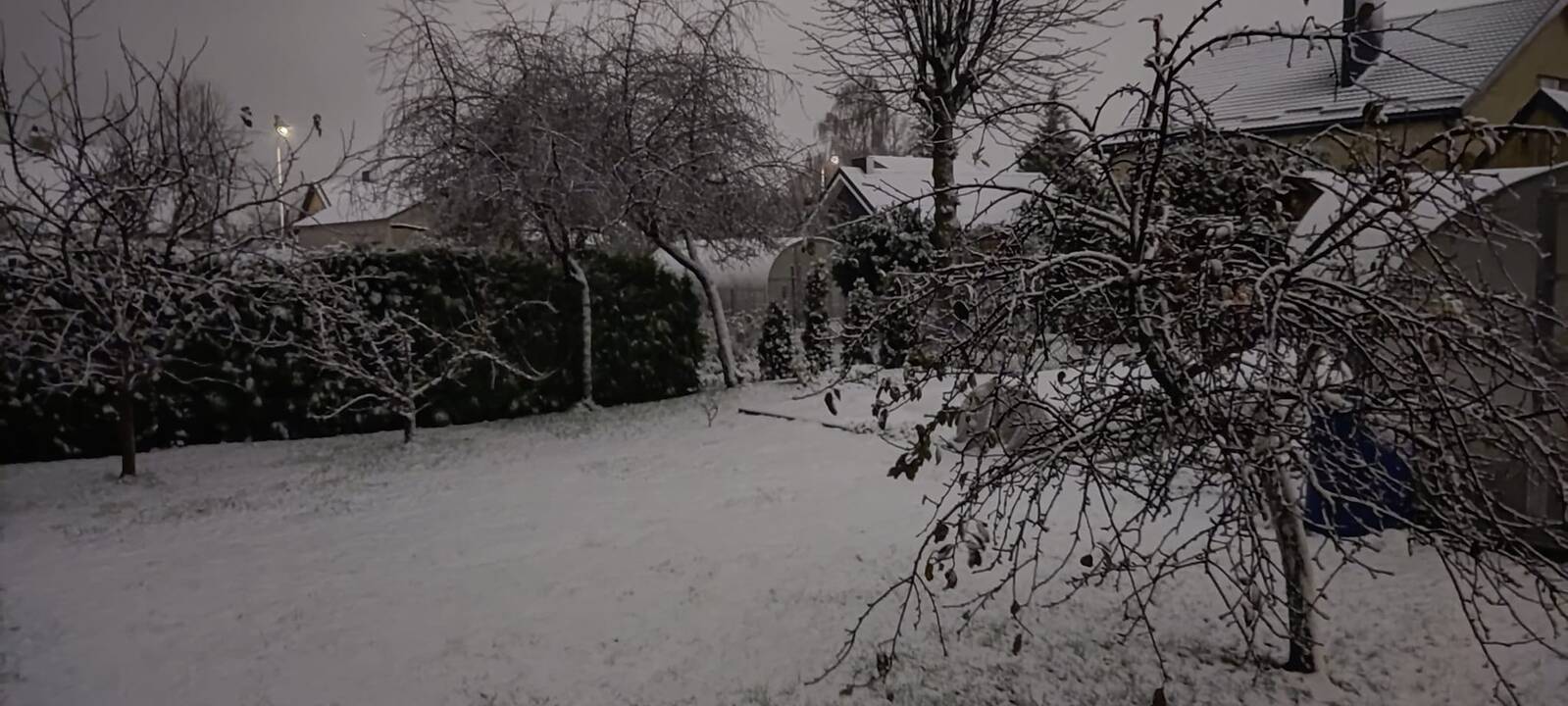 Kai kur Lietuvoje – žiemiški vaizdai