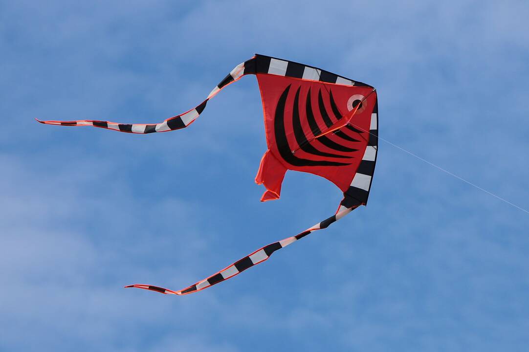 Zapyškio aitvarų festivalis „Tarp dangaus ir žemės“