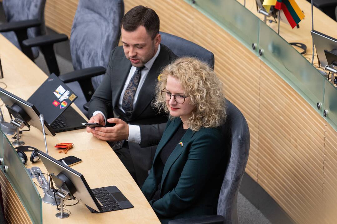 Seime premjerė pristatė praėjusių metų Vyriausybės veiklos ataskaitą