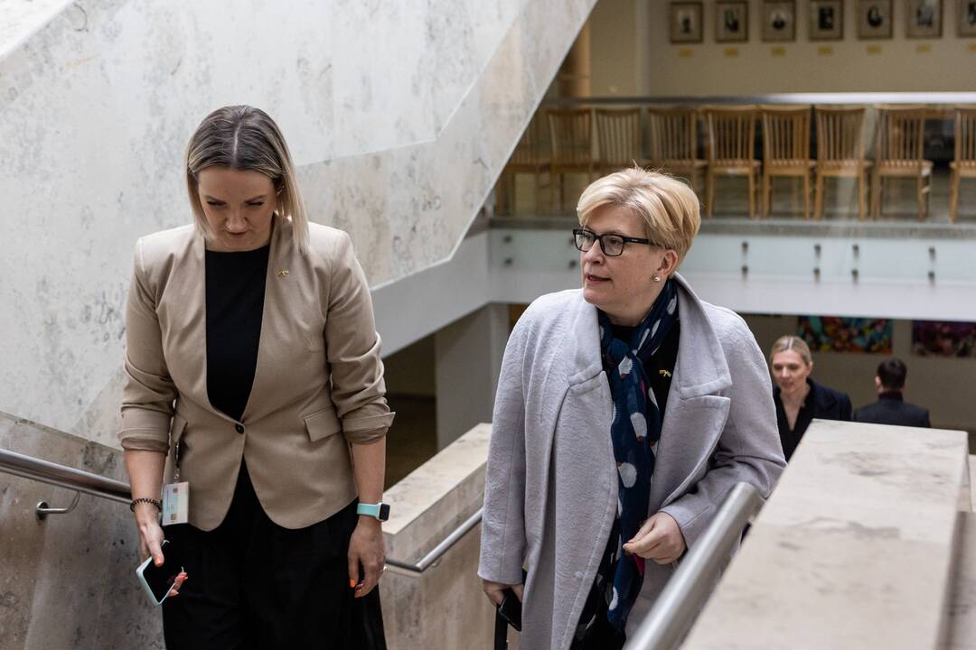 Seime premjerė pristatė praėjusių metų Vyriausybės veiklos ataskaitą