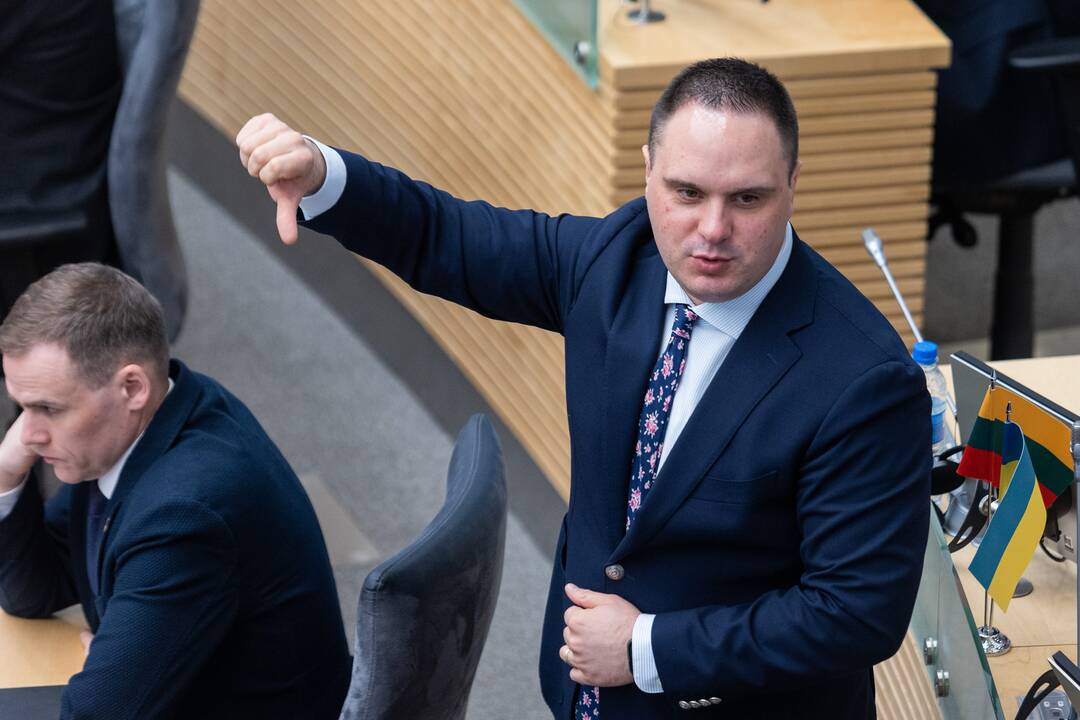 Seime premjerė pristatė praėjusių metų Vyriausybės veiklos ataskaitą