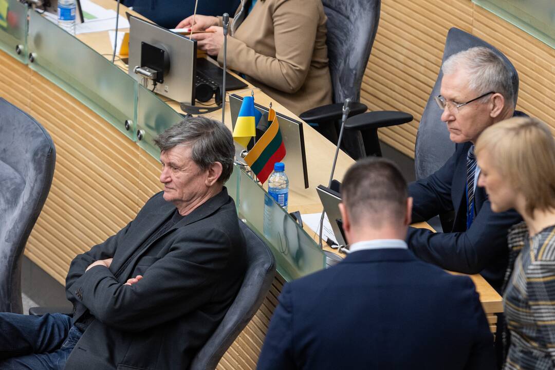 Seime premjerė pristatė praėjusių metų Vyriausybės veiklos ataskaitą