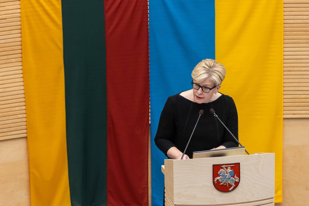 Seime premjerė pristatė praėjusių metų Vyriausybės veiklos ataskaitą