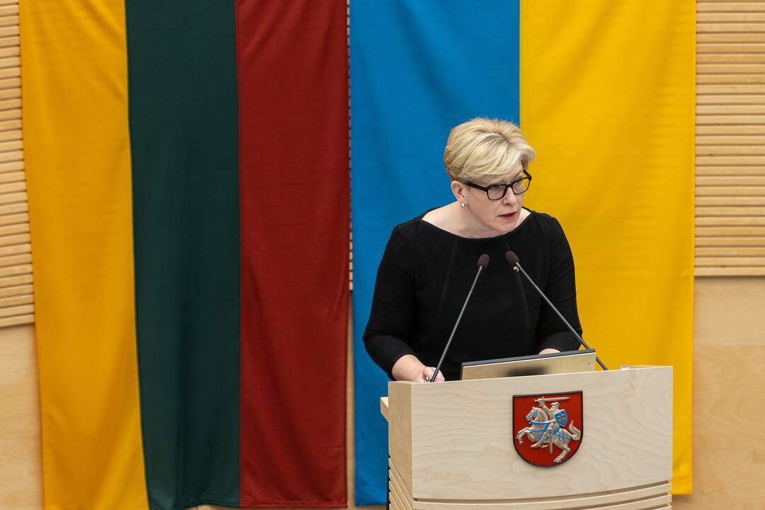 Seime premjerė pristatė praėjusių metų Vyriausybės veiklos ataskaitą