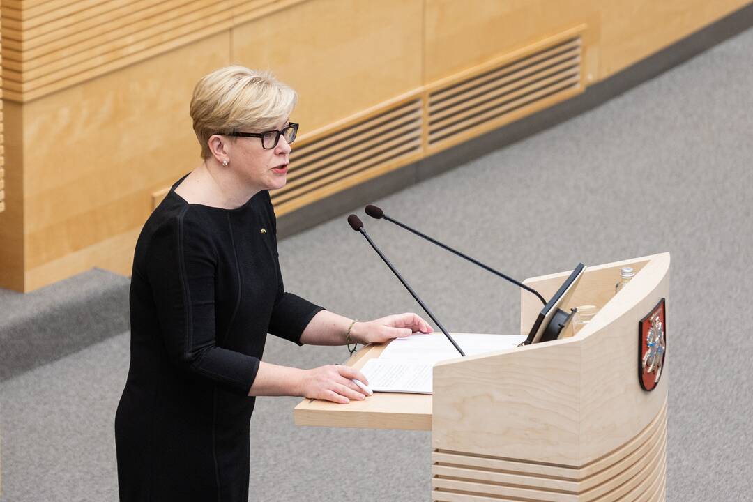 Seime premjerė pristatė praėjusių metų Vyriausybės veiklos ataskaitą