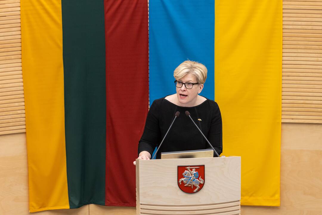 Seime premjerė pristatė praėjusių metų Vyriausybės veiklos ataskaitą