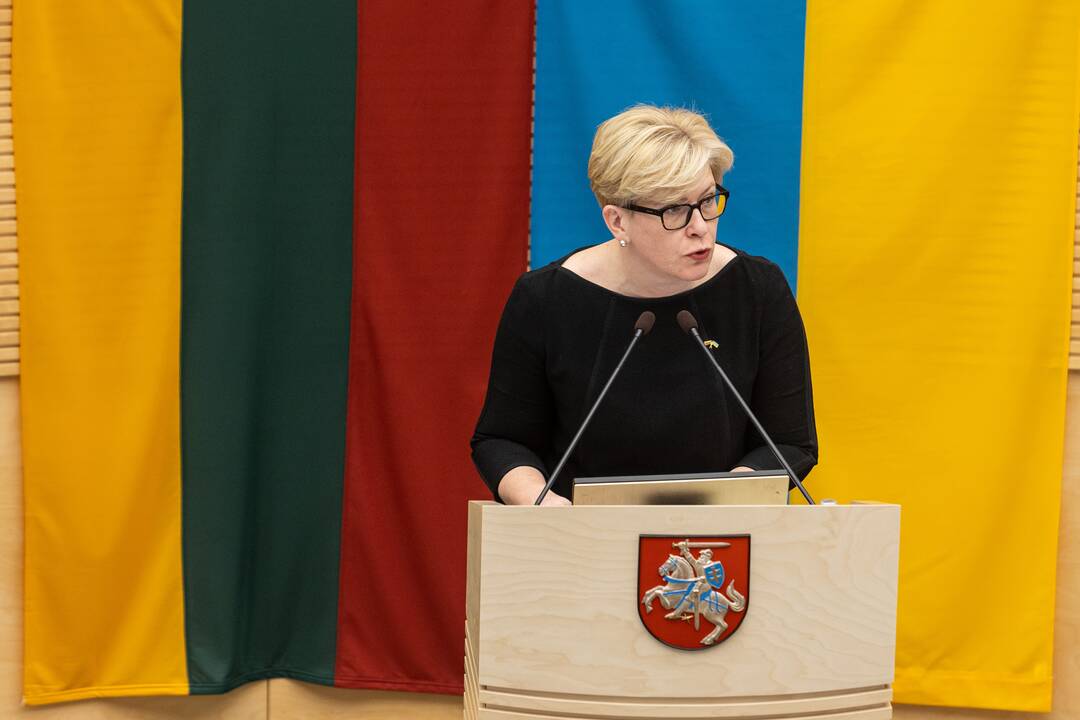 Seime premjerė pristatė praėjusių metų Vyriausybės veiklos ataskaitą