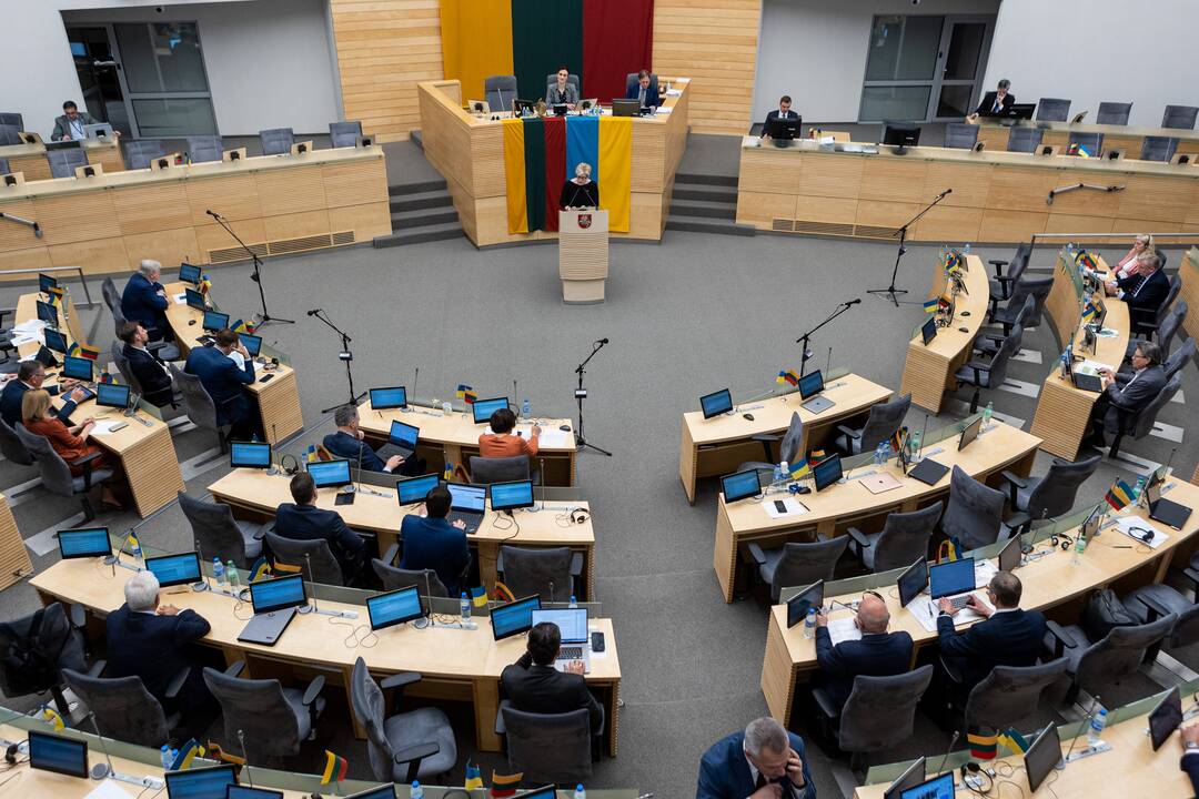 Seime premjerė pristatė praėjusių metų Vyriausybės veiklos ataskaitą