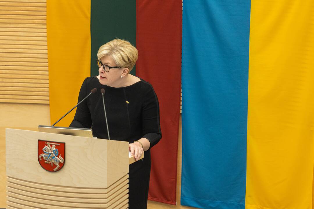 Seime premjerė pristatė praėjusių metų Vyriausybės veiklos ataskaitą