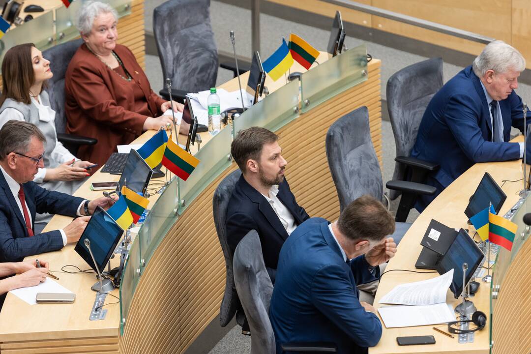 Seime premjerė pristatė praėjusių metų Vyriausybės veiklos ataskaitą