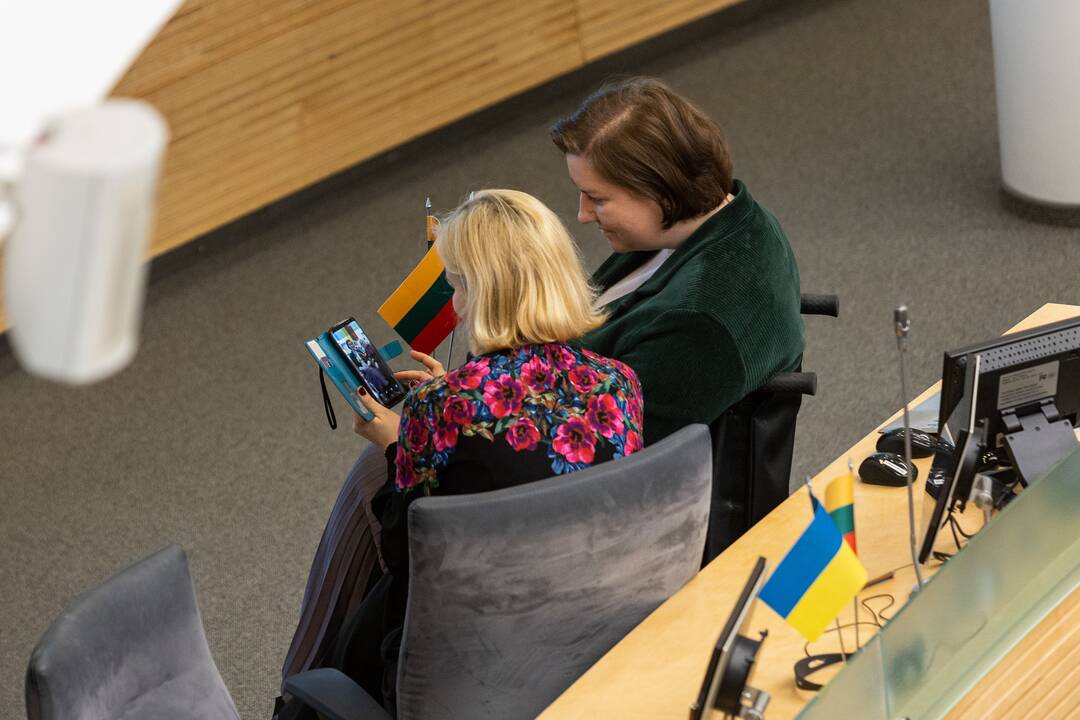 Seime premjerė pristatė praėjusių metų Vyriausybės veiklos ataskaitą