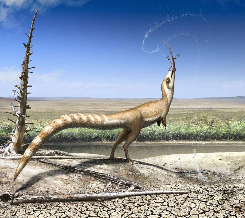 Sinosauropteryx 