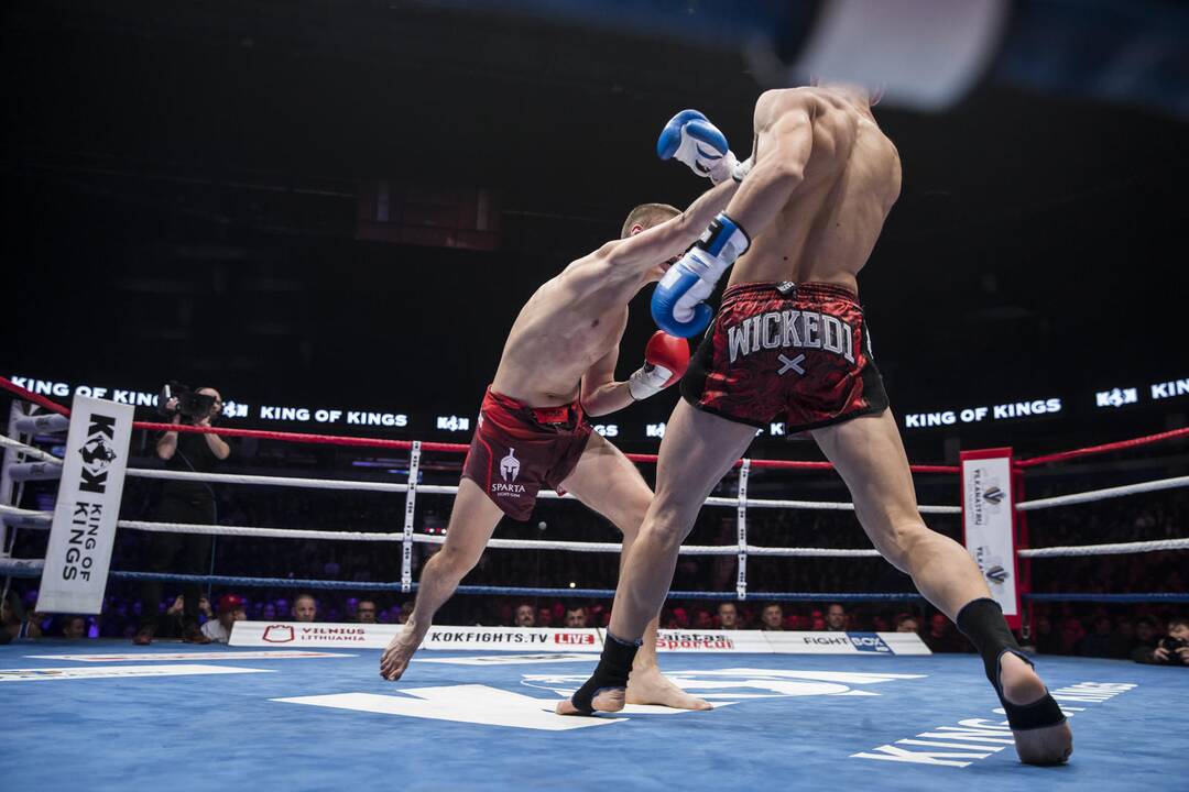 Tarptautinis turnyras „Bushido hero‘s 2018 Vilnius“