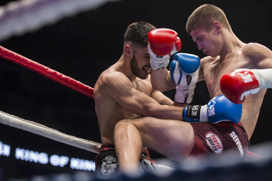 Tarptautinis turnyras „Bushido hero‘s 2018 Vilnius“