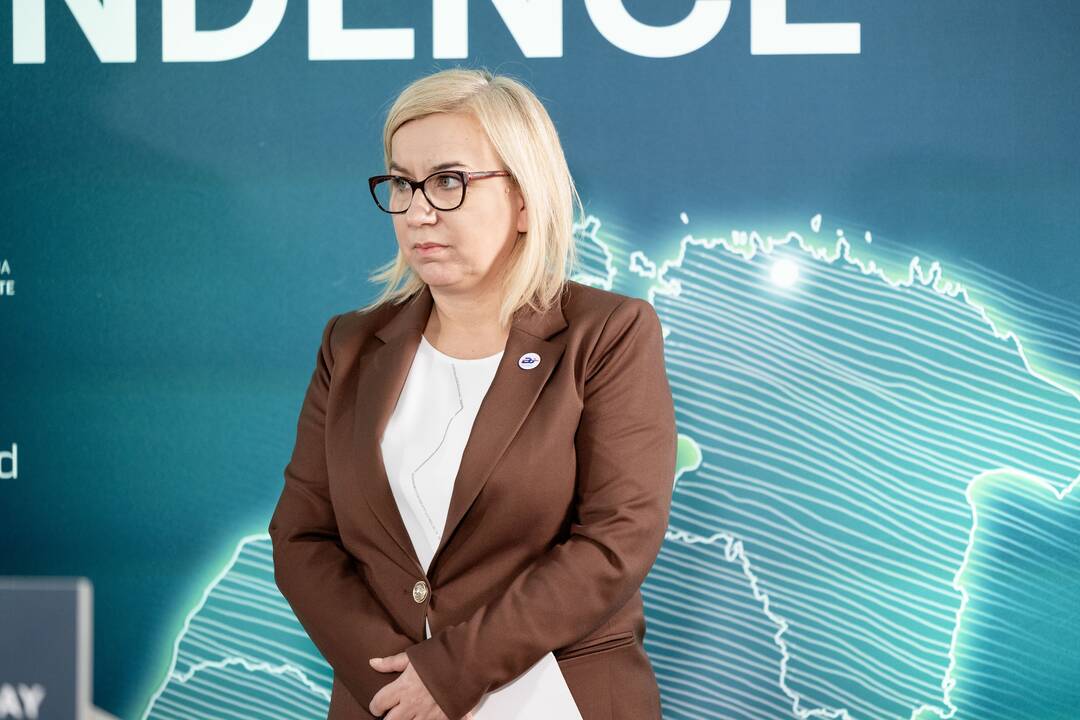 Konferencija „Kritinės energetikos infrastruktūros apsauga“