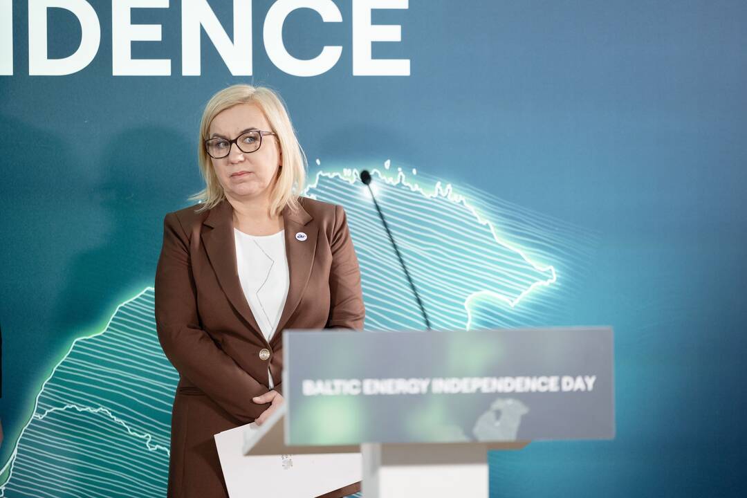 Konferencija „Kritinės energetikos infrastruktūros apsauga“
