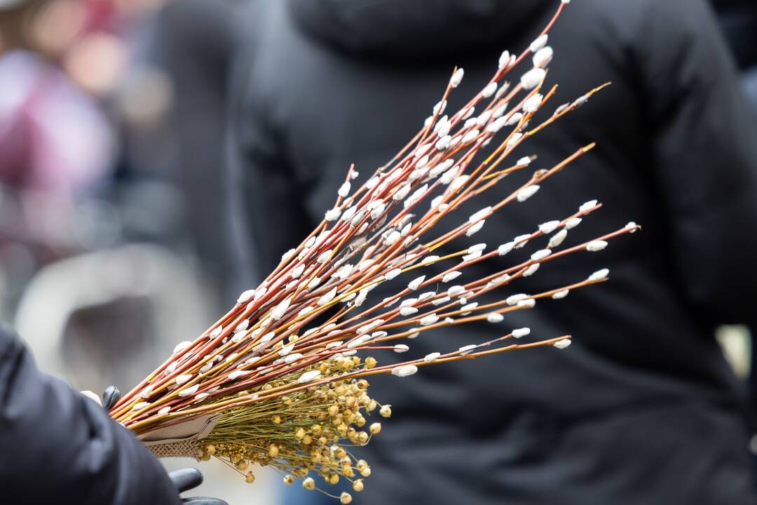 2024-ųjų Kaziuko mugė Vilniuje (antroji diena)